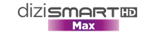 Dizismart Max logo