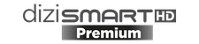 Dizismart Premium logo
