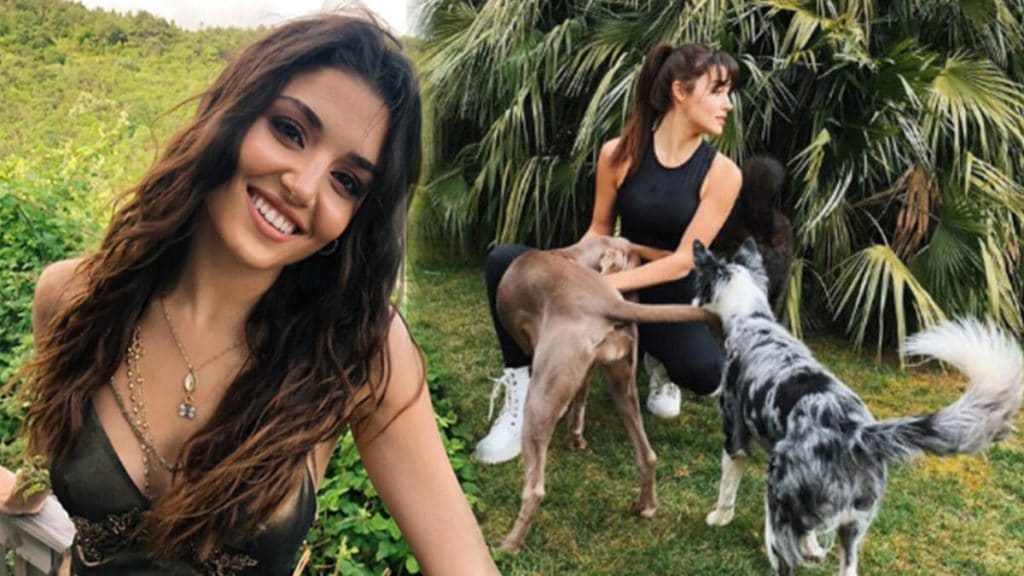 Hande Erçel ve köpekleri