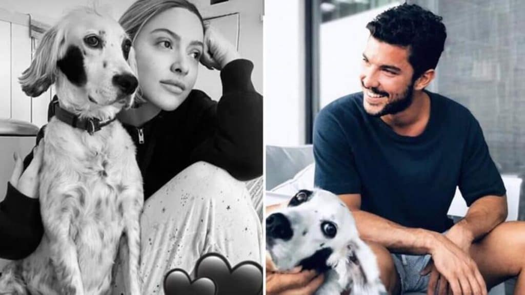 Hadise ve Kaan Yıldırım