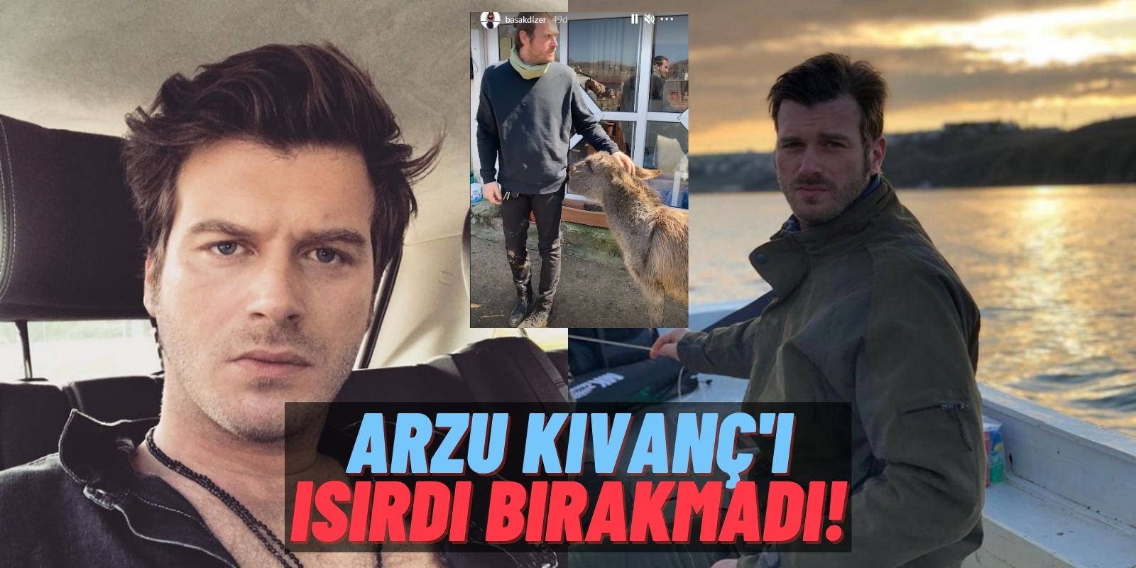 Yakışıklı Oyuncu Kıvanç Tatlıtuğ’un Başı “Arzu” İle Dertte: Tişörtünü Isırdı Bırakmıyor! Canını Zor Kurtardı!