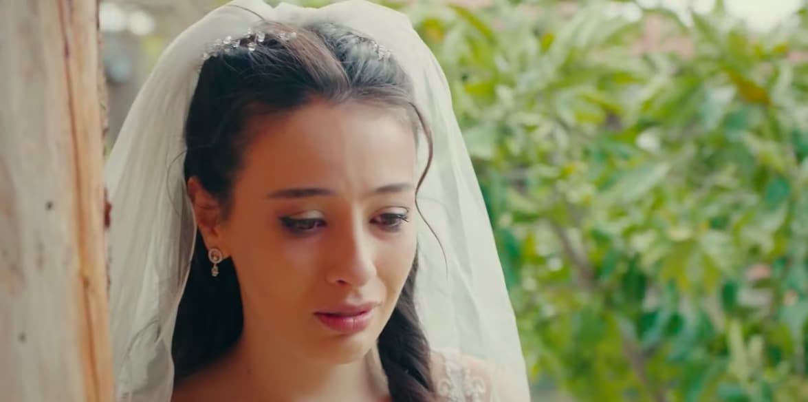 Kanlar İçinde Yerde Kaldı! Mavi Sancar'ı Cinayetle Suçluyor! Sefirin