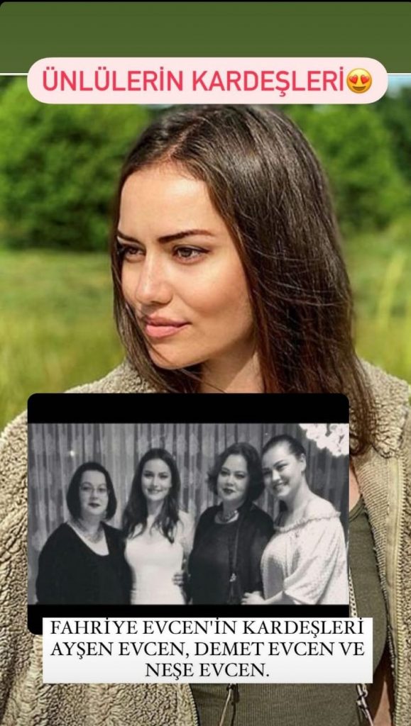 fahriye evcen
