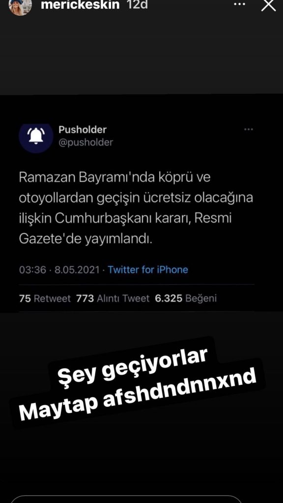 Demet Akalın story