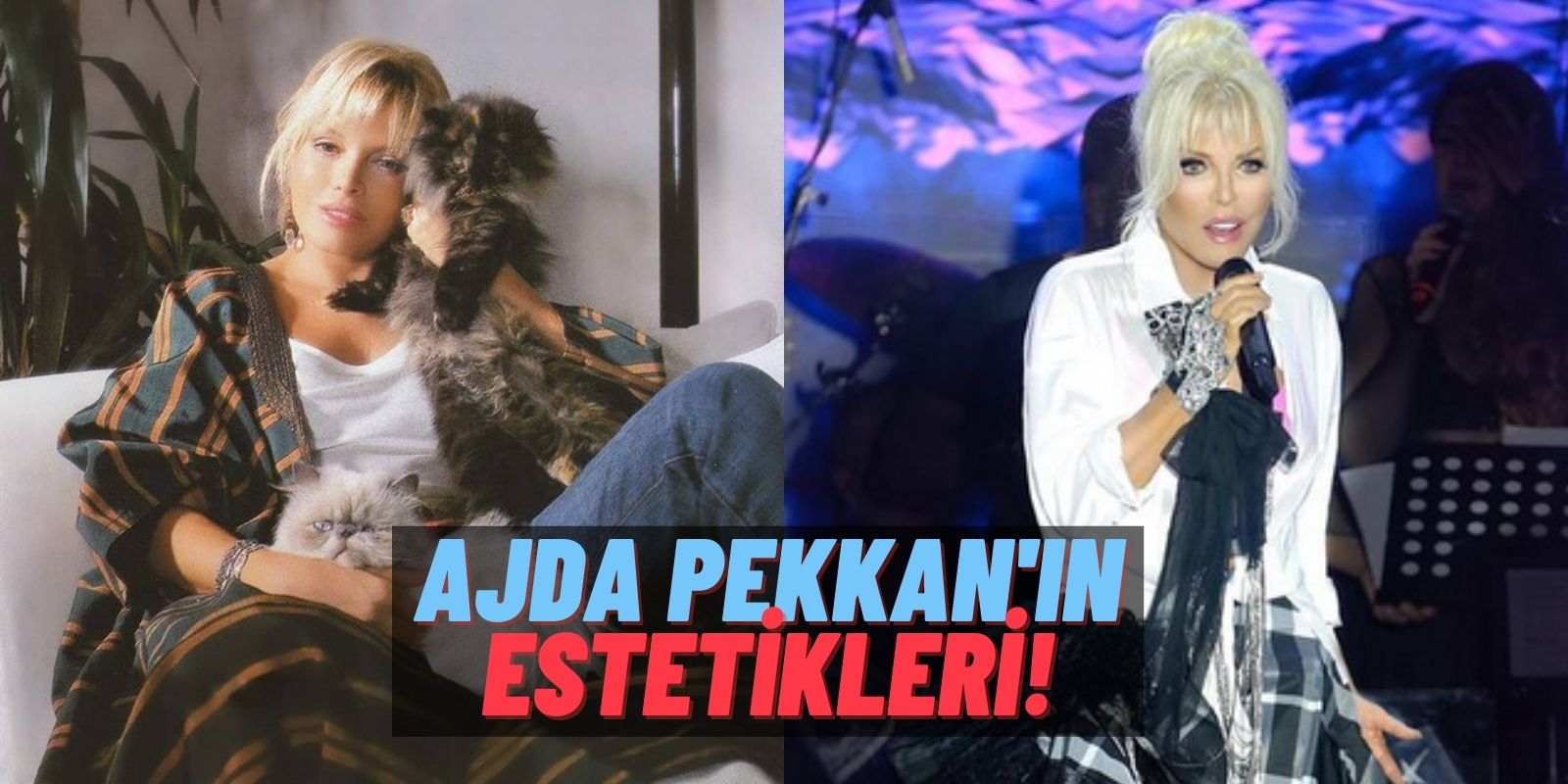 Kendini Baştan Yarattı: Süperstar Ajda Pekkan’ın Yaptırdığı Estetiklere “Yok Artık” Diyeceksiniz!