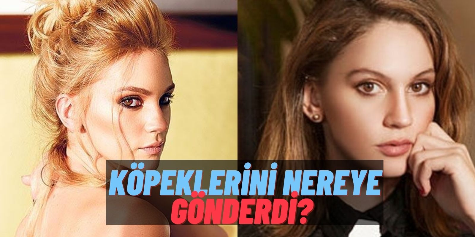 Neredeyse Parmağı Gidecekti! Farah Zeynep Abdullah’ın Kendisini Yaralayan Köpekleriyle Derdi Bitmiyor