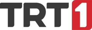 TRT 1 “Sinyal Yok” Hatası (2025): Adım adım çözüm rehberi, güncel frekanslar ve BISS Key çözümü
