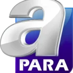 A PARA Logo