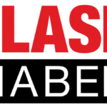 FLASH HABER Logo